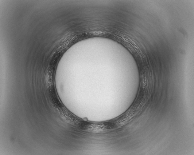 X0000115640606200912011502