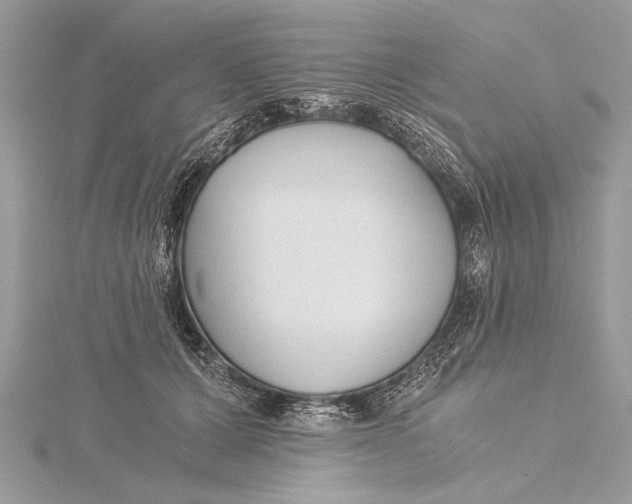 X0000115640607200912011502