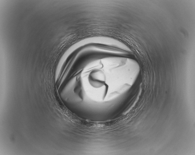 X0000115640609200912011502