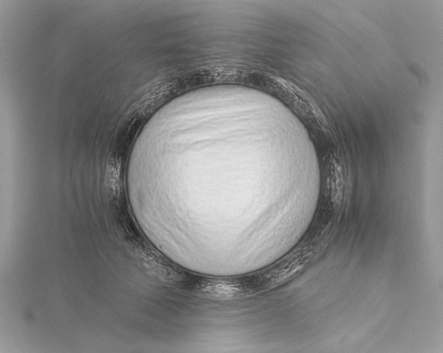 X0000115640610200912011502