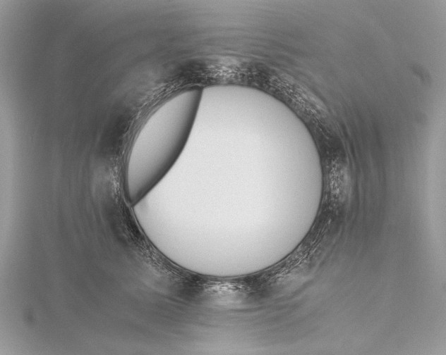 X0000115640611200912011502