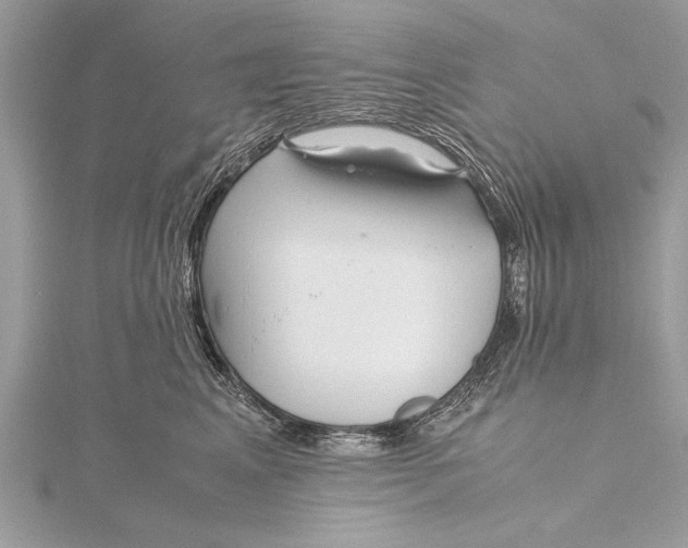 X0000115640617200912011502
