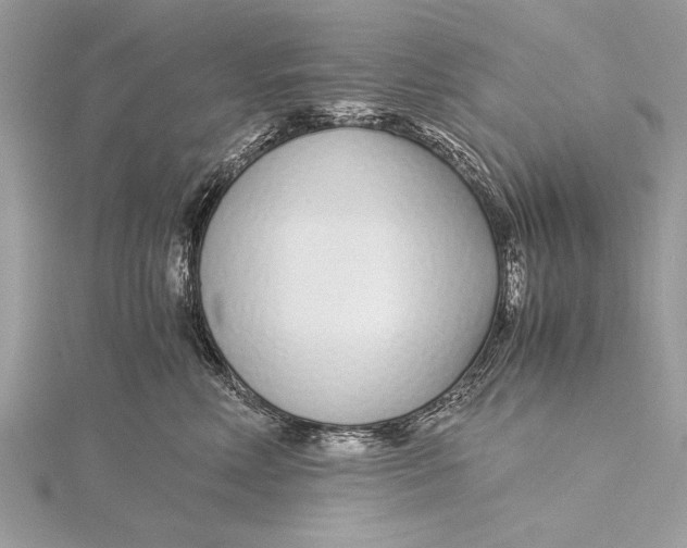 X0000115640618200912011502