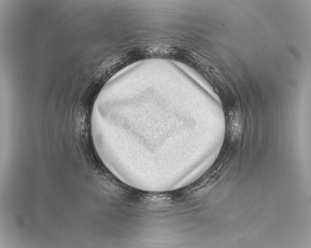 X0000115640619200912011502