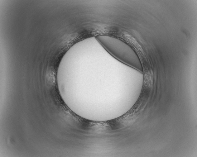 X0000115640621200912011502