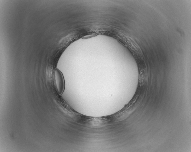X0000115640623200912011502