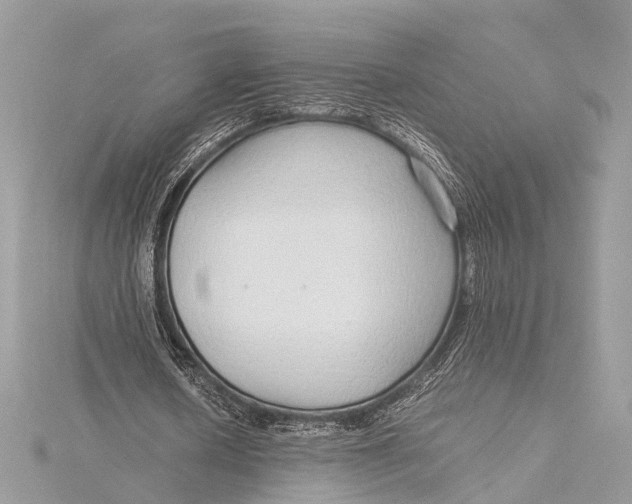 X0000115640626200912011502