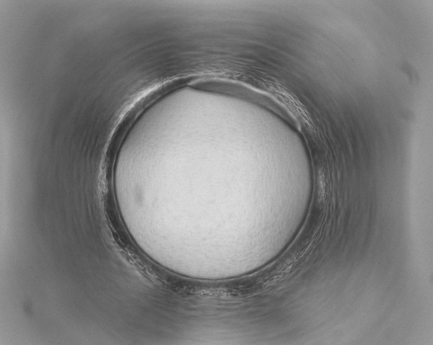 X0000115640628200912011502