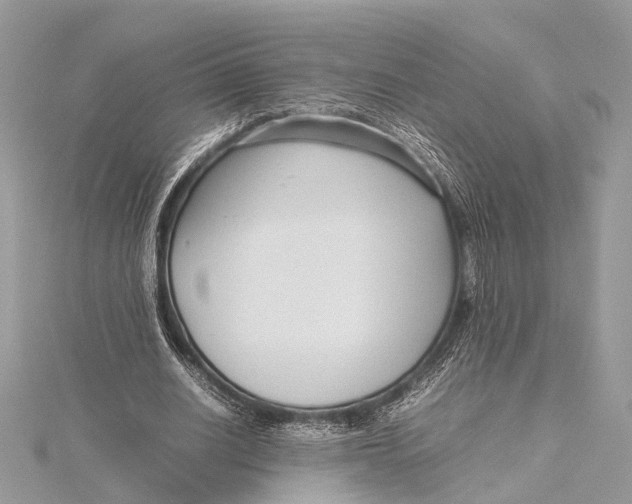 X0000115640630200912011502