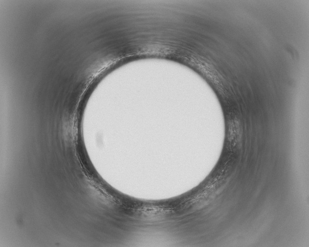 X0000115640632200912011502