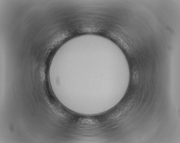 X0000115640635200912011502