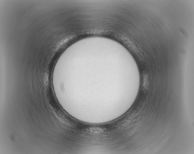 X0000115640636200912011502