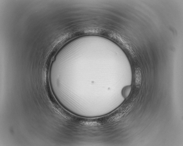 X0000115640637200912011502