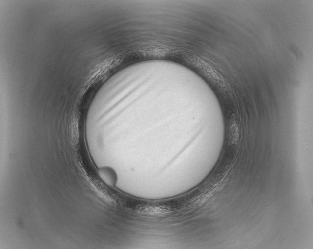 X0000115640638200912011502