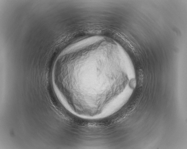 X0000115640641200912011502