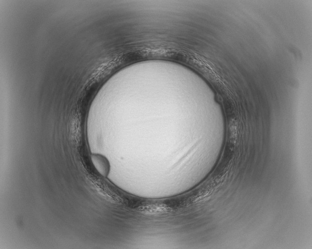 X0000115640642200912011502