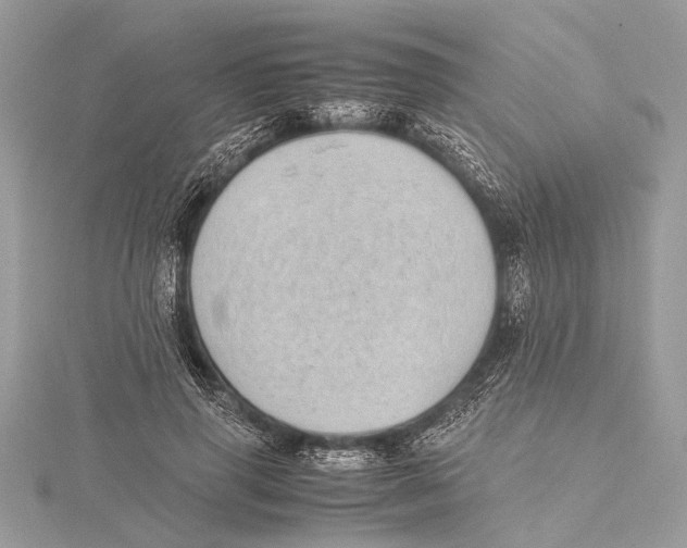 X0000115640645200912011502