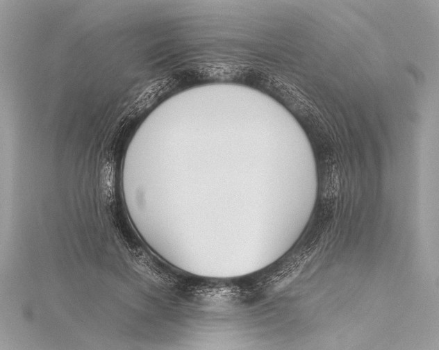 X0000115640646200912011502