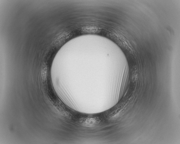 X0000115640647200912011502
