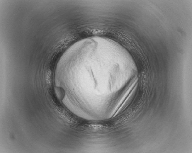 X0000115640650200912011502