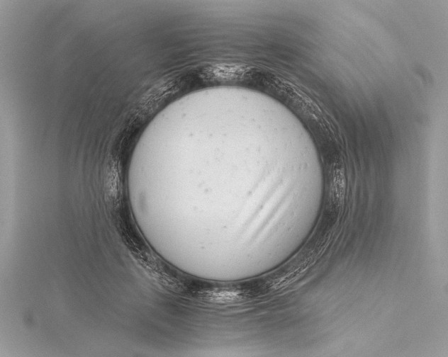 X0000115640651200912011502