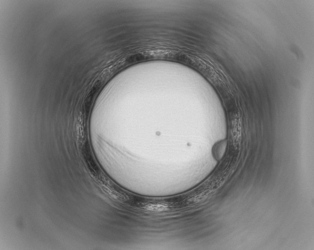 X0000115640653200912011502