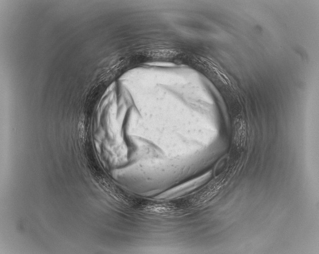 X0000115640655200912011502