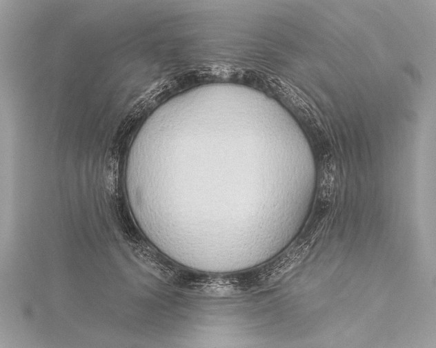 X0000115640656200912011502