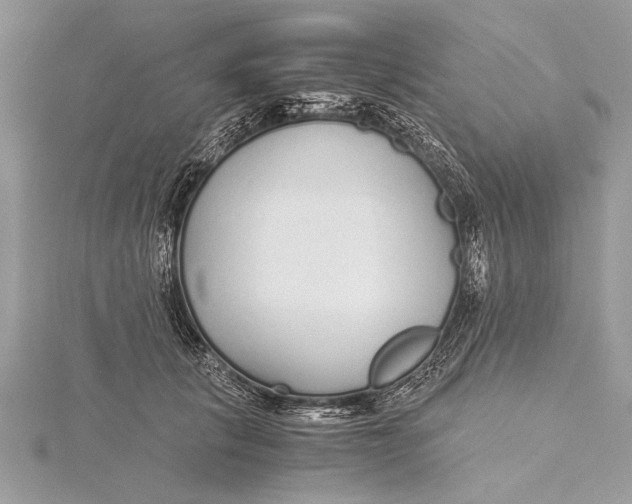 X0000115640657200912011502