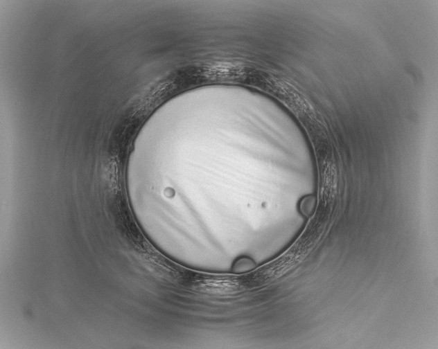 X0000115640659200912011502