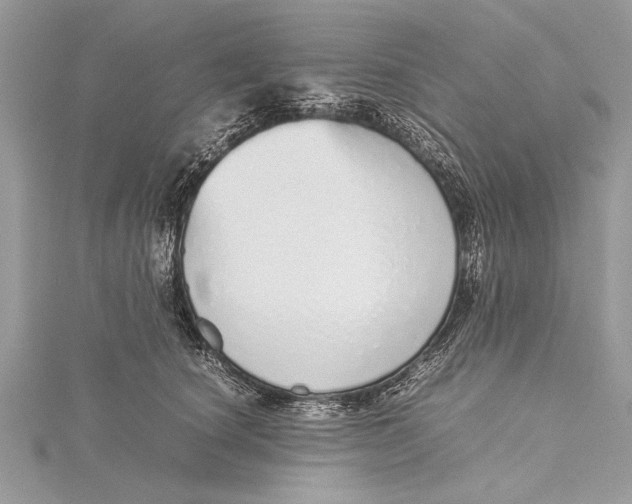 X0000115640660200912011502