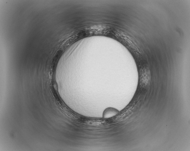 X0000115640661200912011502