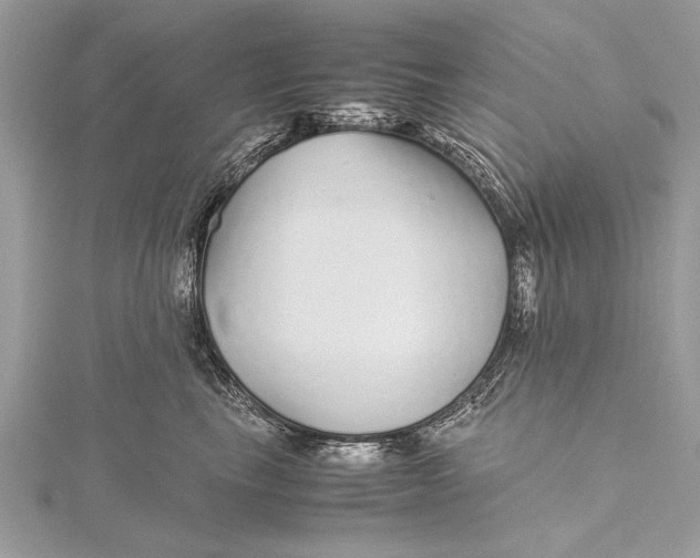 X0000115640665200912011502