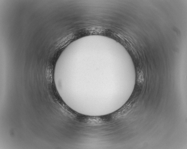 X0000115640666200912011502