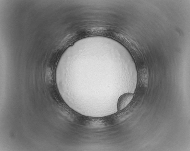 X0000115640667200912011502