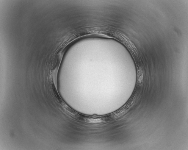 X0000115640669200912011502