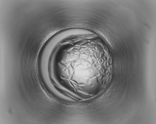 X0000115640674200912011502