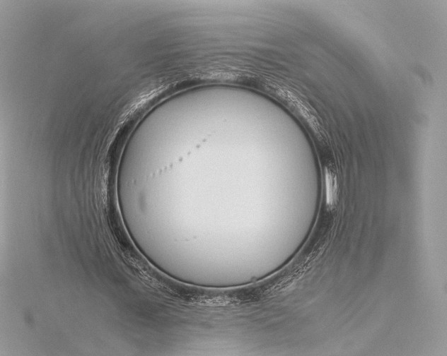 X0000115640675200912011502