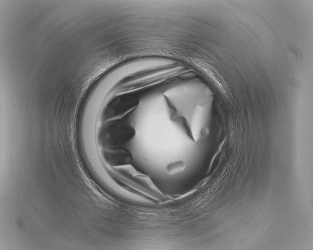 X0000115640677200912011502