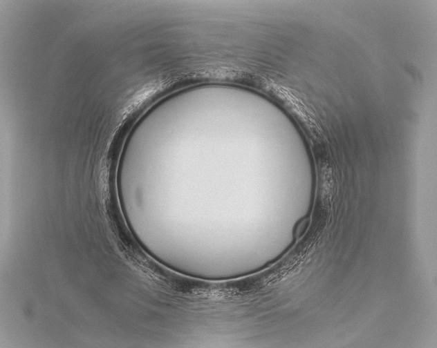 X0000115640679200912011502