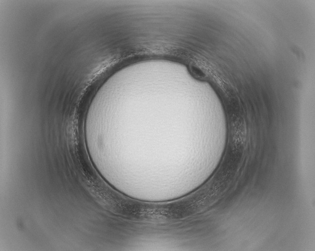X0000115640680200912011502