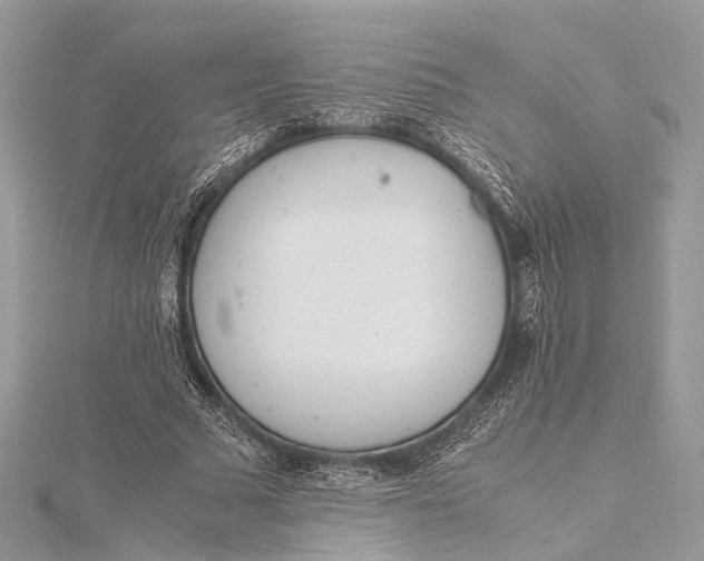 X0000115640681200912011502