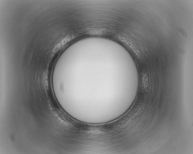 X0000115640682200912011502