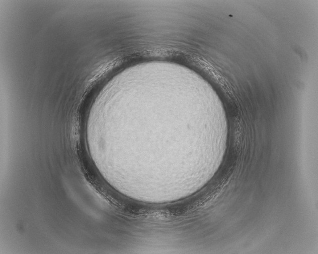 X0000115640683200912011501