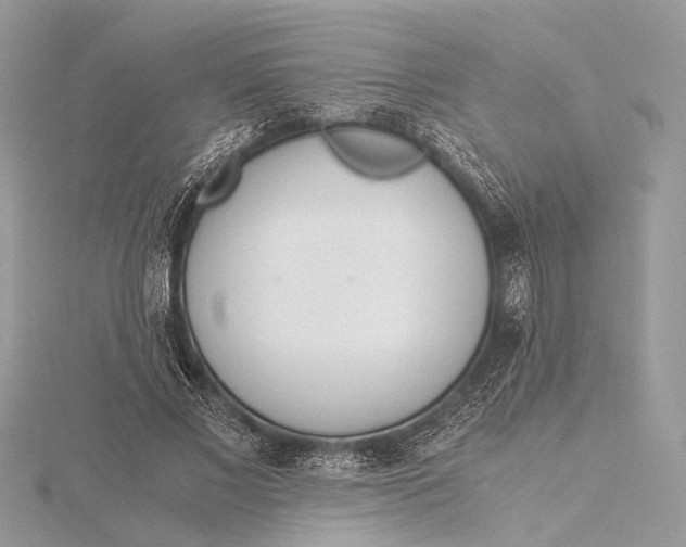 X0000115640685200912011501