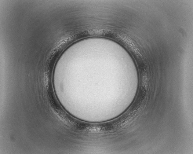 X0000115640687200912011501