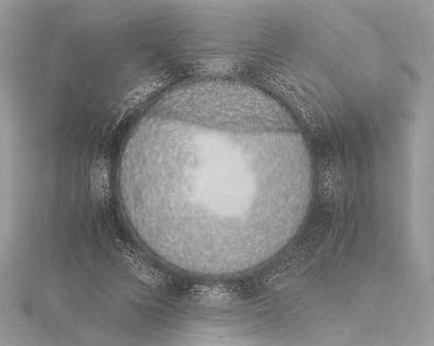 X0000115640688200912011501