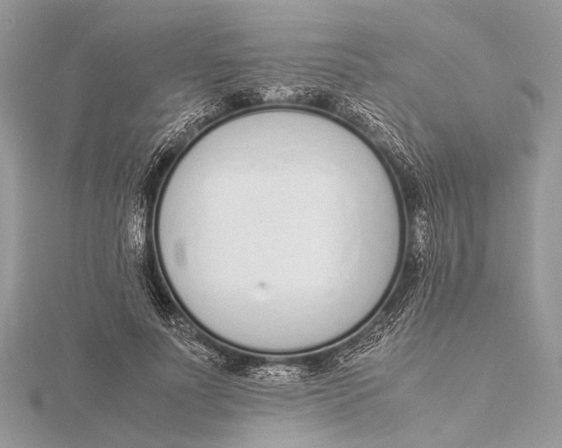 X0000115640691200912011501
