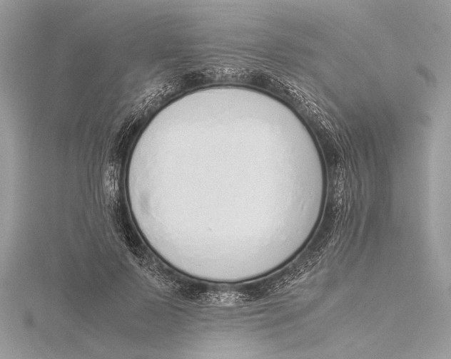 X0000115640695200912011501