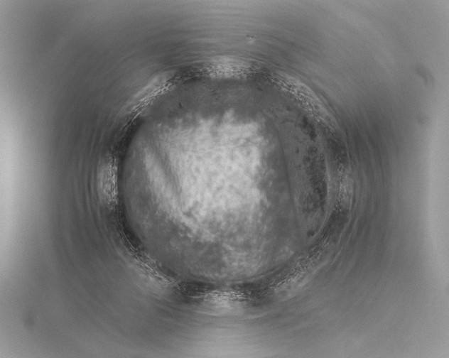 X0000115640696200912011501